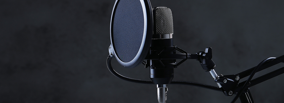 Voice Over Services